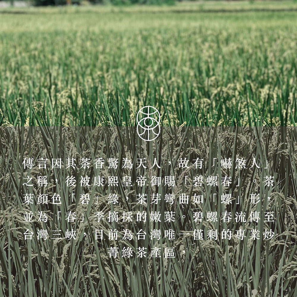 【2024限定】正春 一方 碧螺春綠茶 袋裝茶葉
