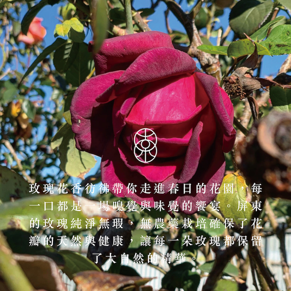 繁花 玫瑰紅茶三角茶包 (8包)