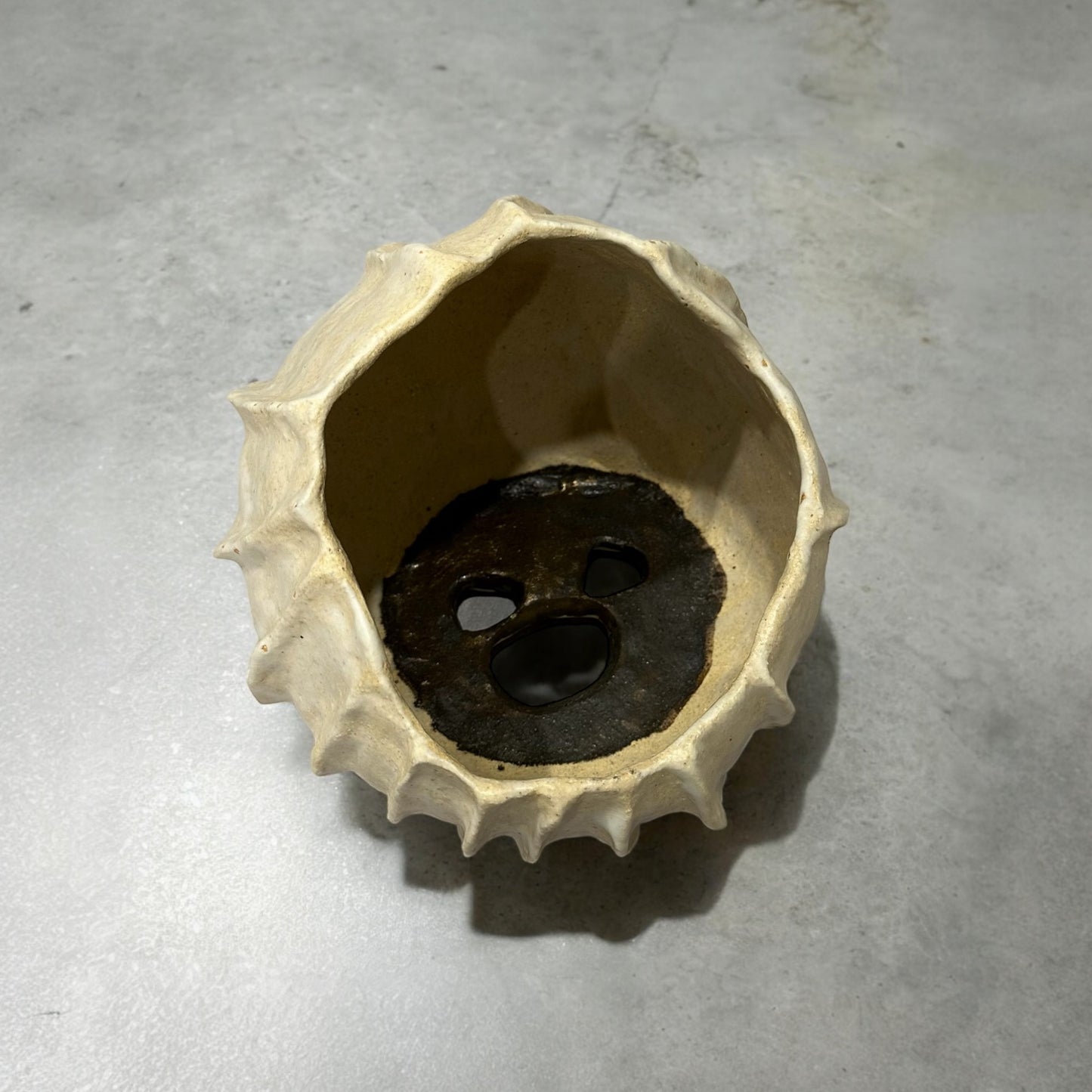 《 好人製陶 》手工陶盆 粉旋貝殼