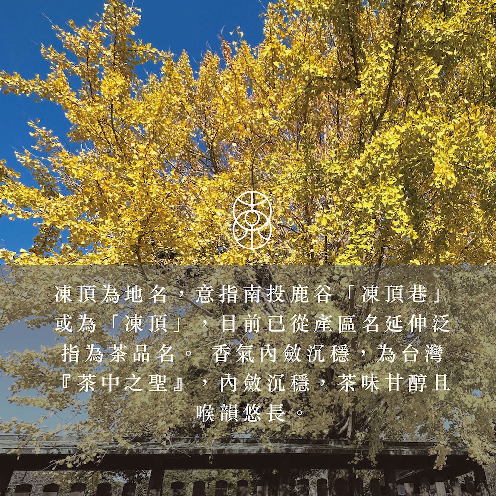 朝露 凍頂烏龍 罐裝茶葉