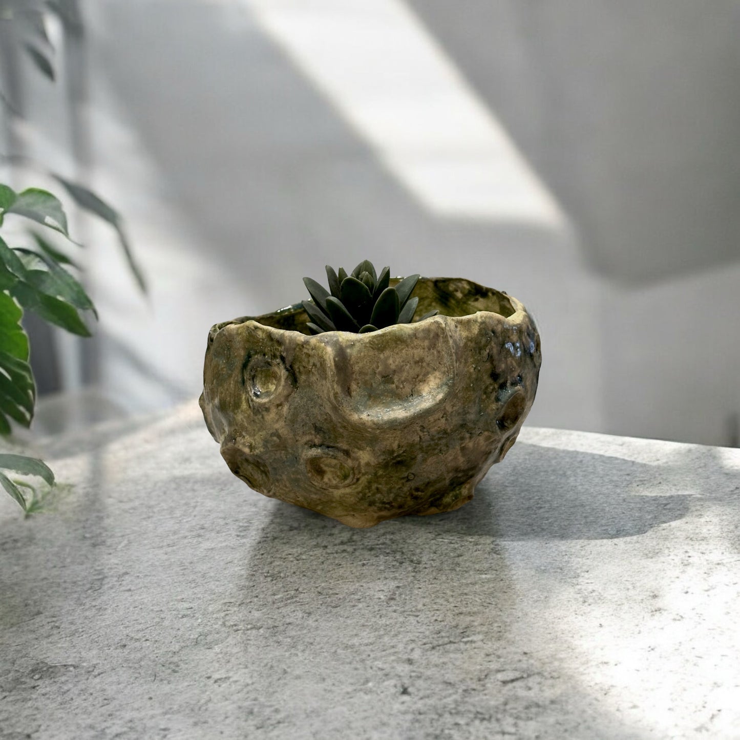 《 好人製陶 》登上月球陶盆 青苔綠