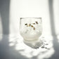 "Japanese cup" Glasscup ( Dandelion Pattern )