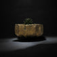 KAKU Ceramic" Handmade pottery Planter ( Golden )