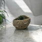 KAKU Ceramic" Handmade pottery Planter ( Lunar02)